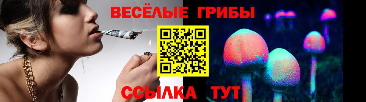 Галлюциногенные грибы мухоморы  Вход с VPN  Сертолово 